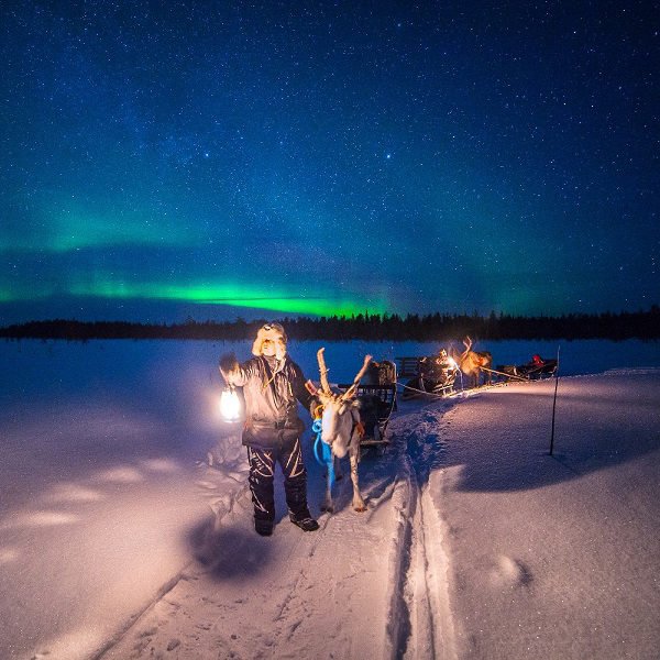 NORTHERN LIGHTS HUNTING BY REINDEER SLEDGE