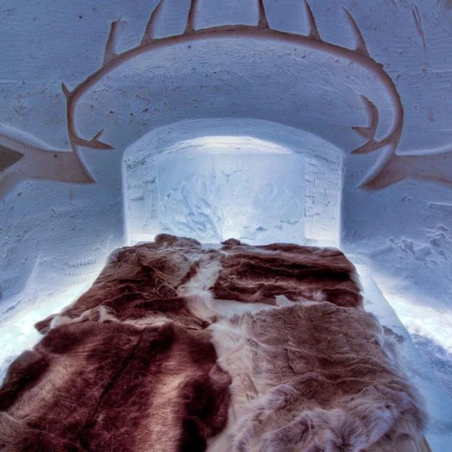 Excursion to Arctic Snow Hotel