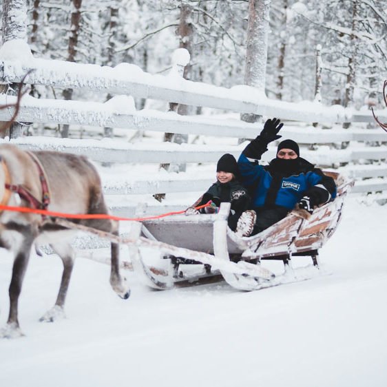 Reindeer tours in Rovaniemi
