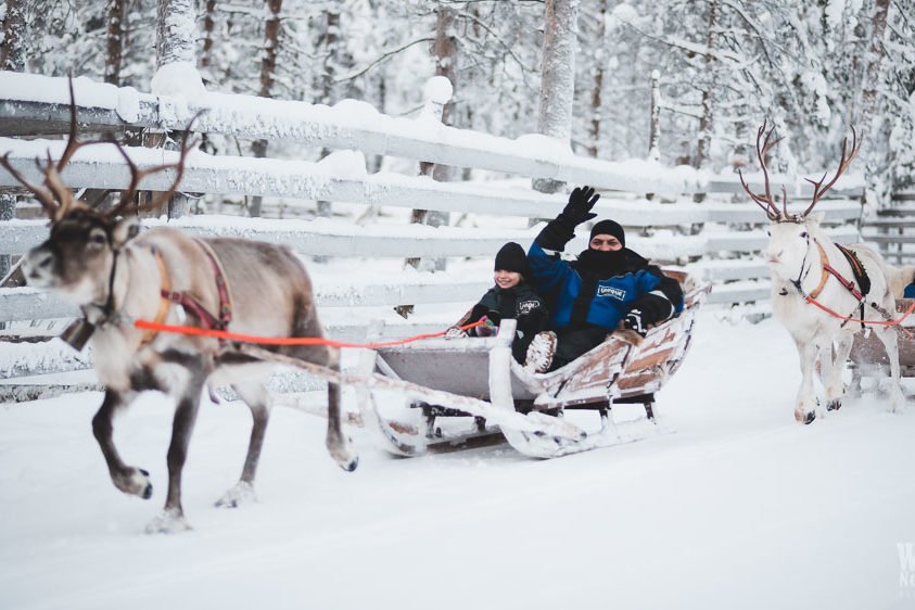Reindeer tours in Rovaniemi