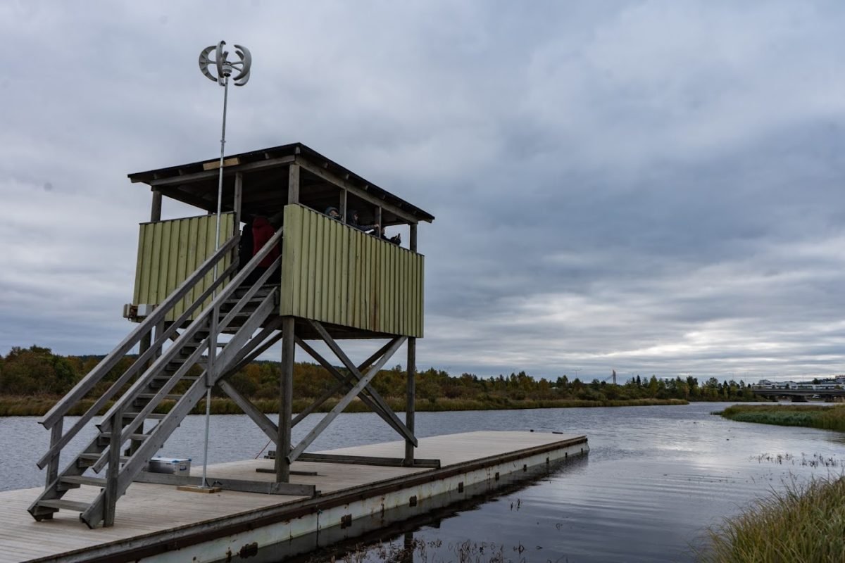 Koivusaari Hiking Trail