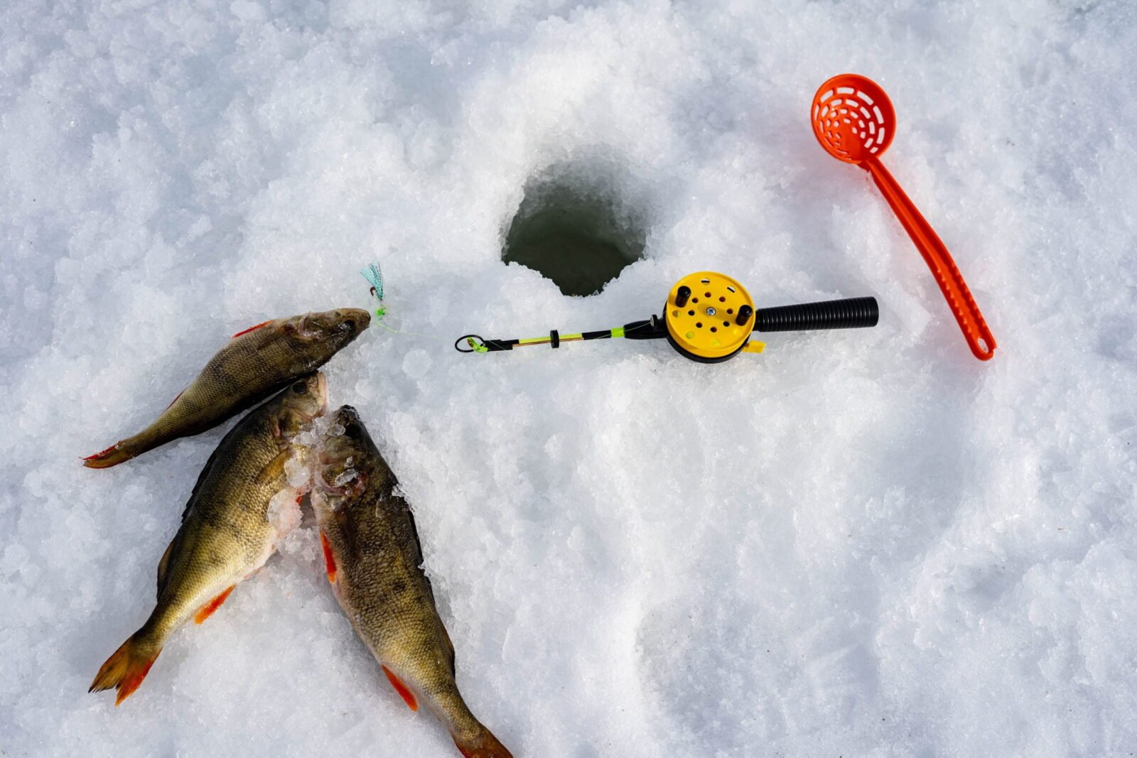 Ice fishing in Rovaniemi